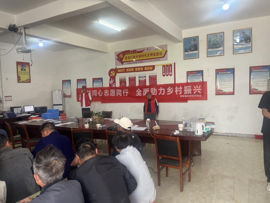 图片5