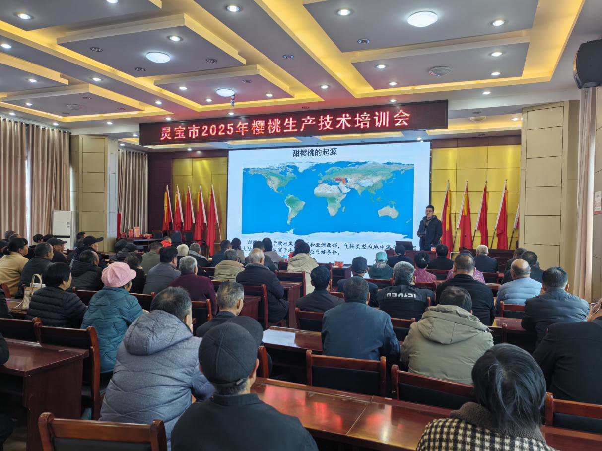 图片18.png