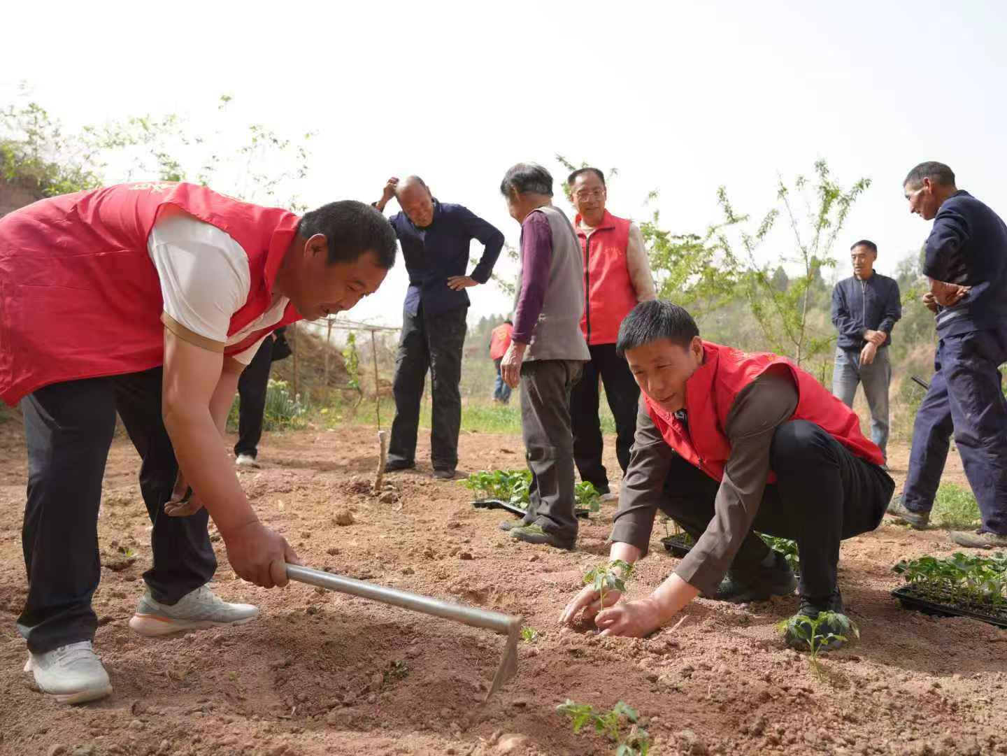 图片16.png
