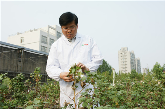 中国农科院棉花研究所研究员李付广