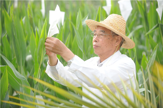 河南永优种业科技有限公司名誉董事长程相文