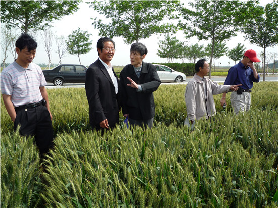 河南省农科院学术委员会副主任林作楫