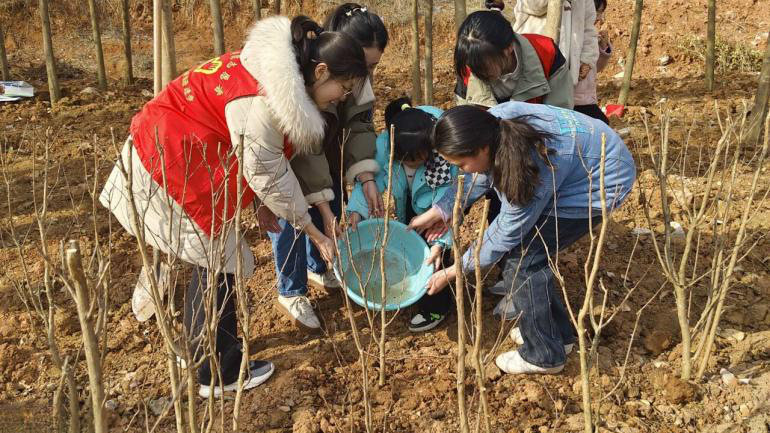 植树节活动图片大全图片